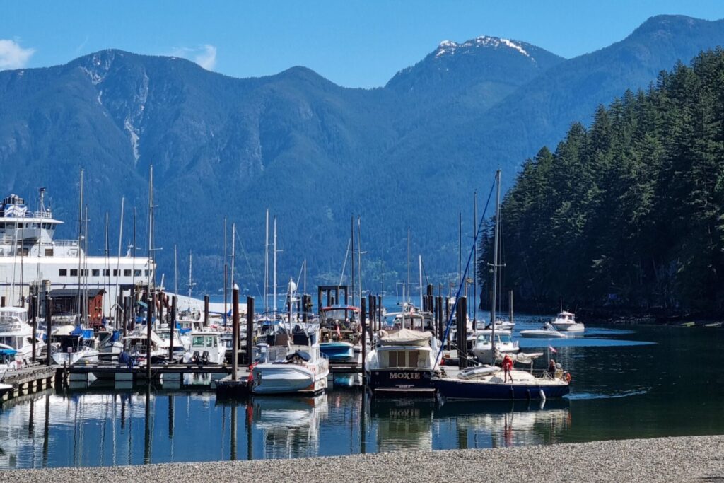 View from Doc Morgan Lawn at Snug Cove