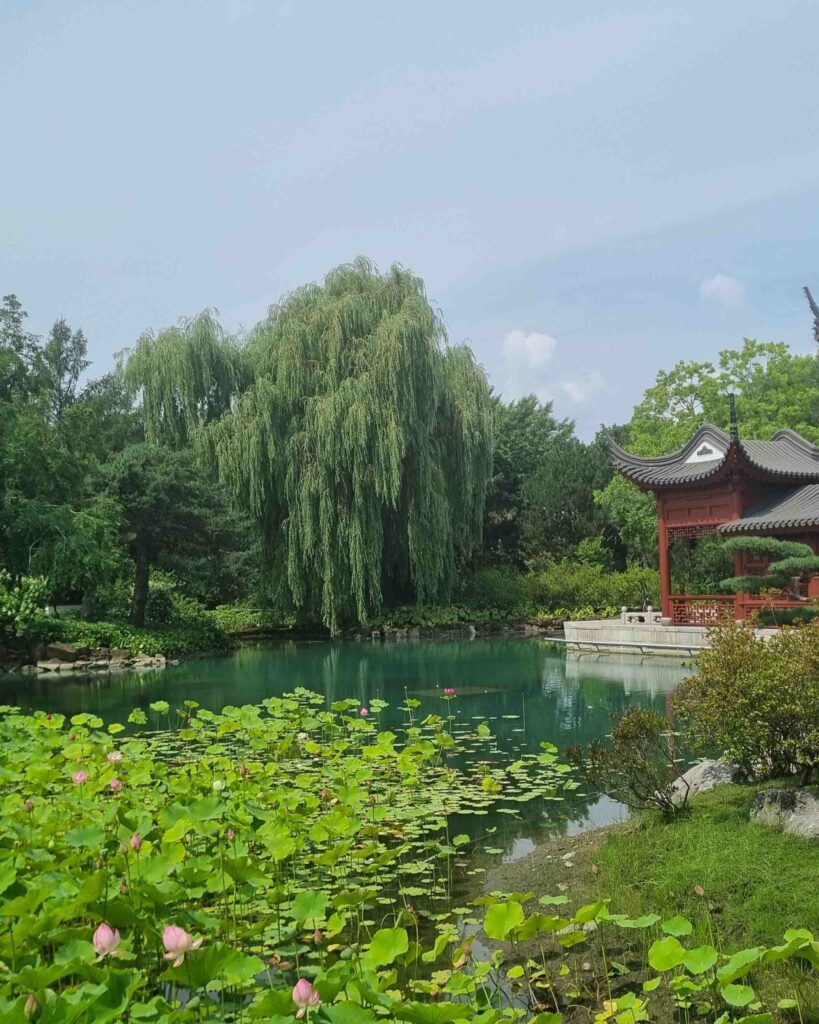 Chinese Garden In Montreal Botanical Garden