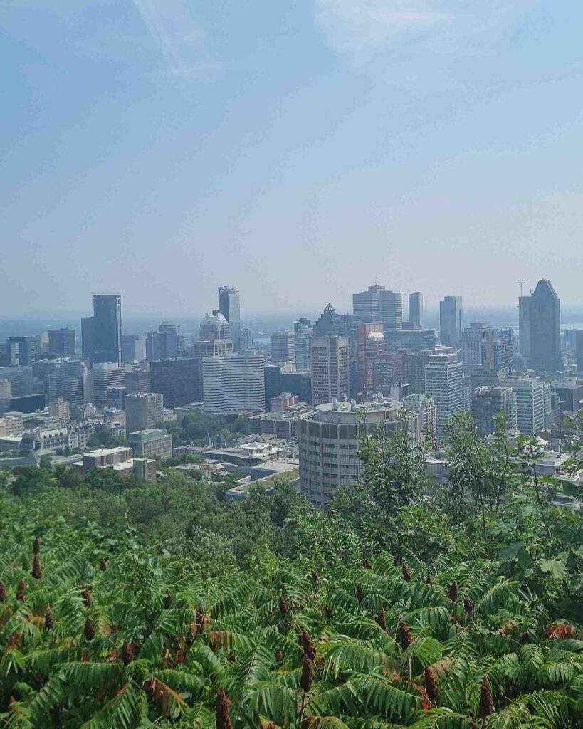 Mount Royal Viewing Point