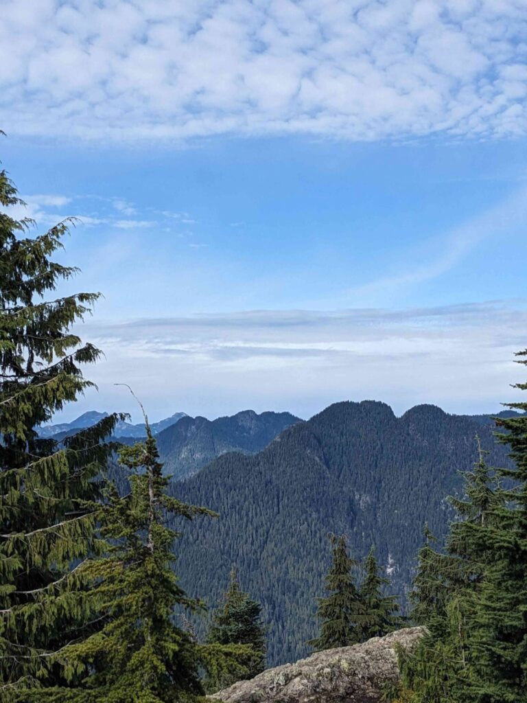 Dog Mountain view along trail