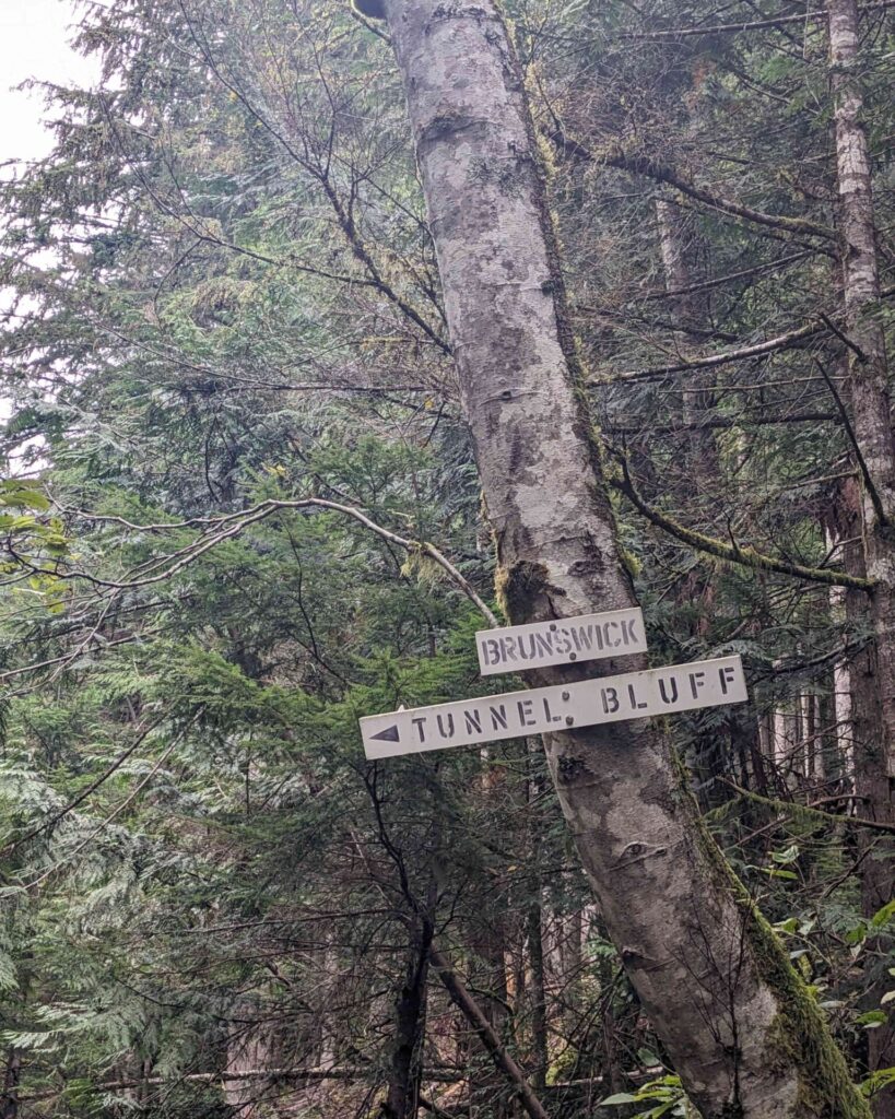 Tunnel Bluffs trail